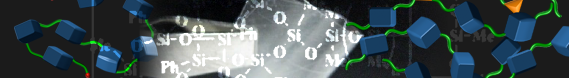 Synthesis and Nanostrcutrue Control of Inorganic Polymers