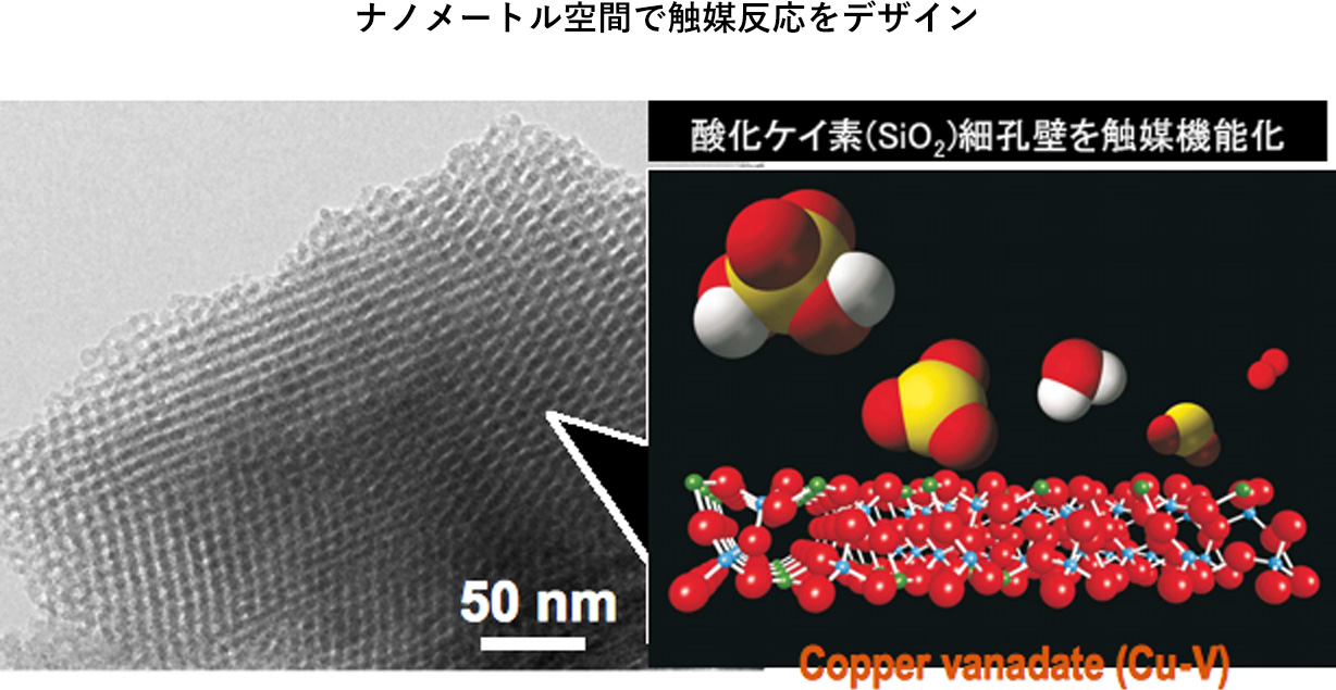 化学の力で元素の隠された能力を発見する