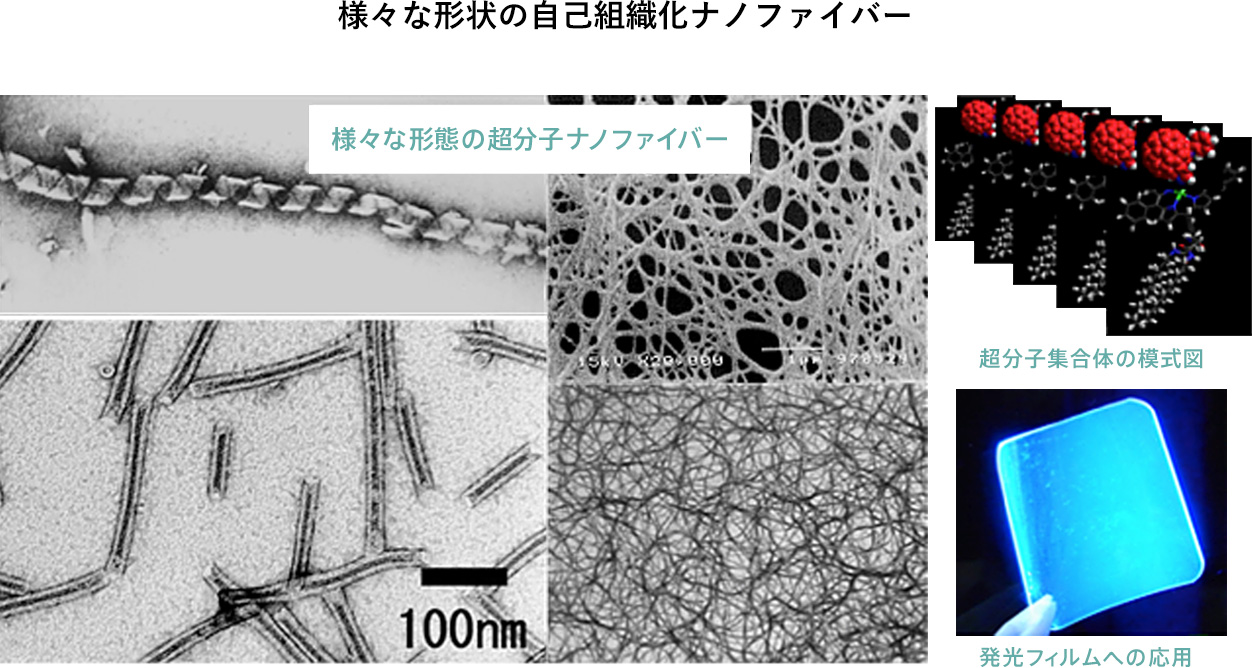 自己組織化ナノファイバー