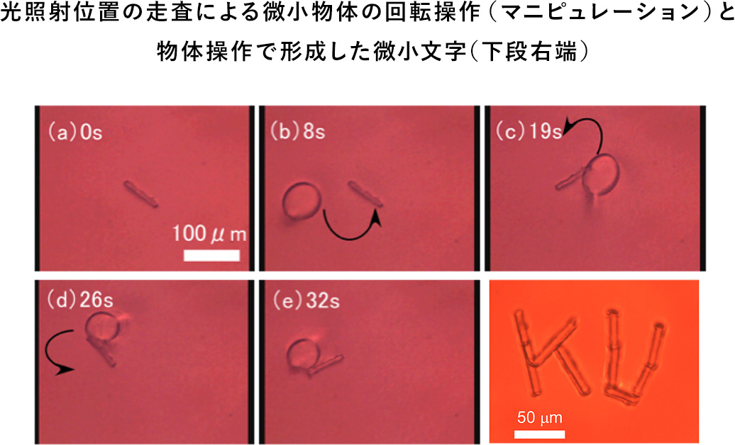 微小物体の光操作（マニピュレーション）