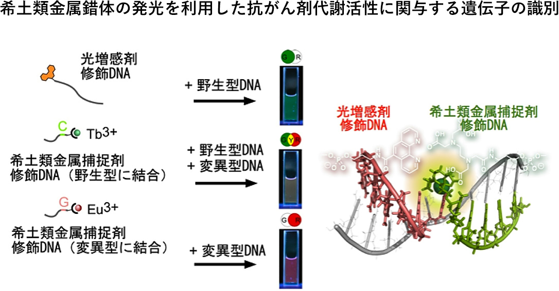 バイオセンシング