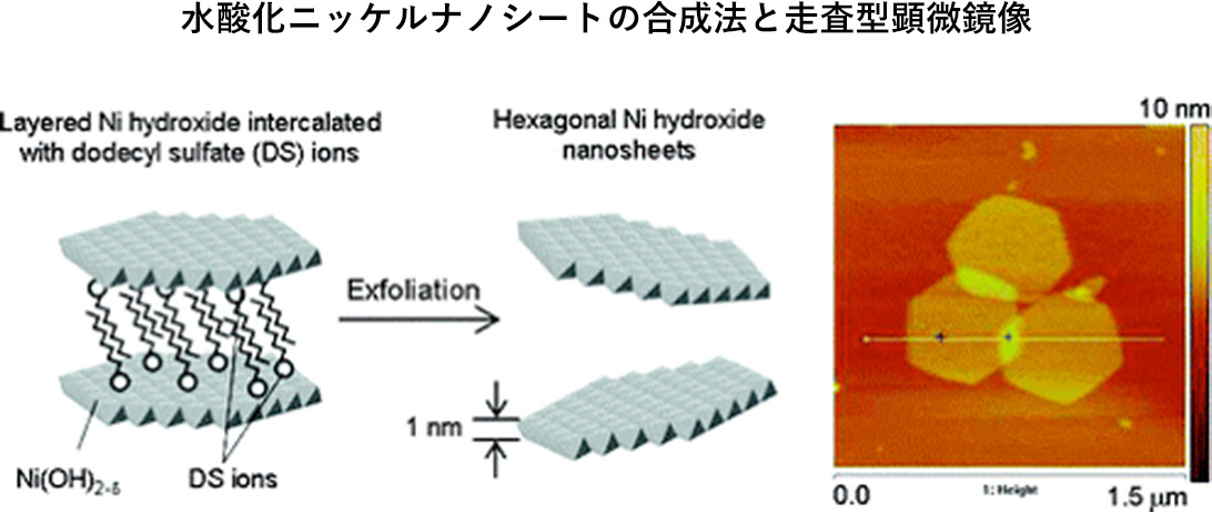 水酸化ニッケルナノシートの合成法と走査型顕微鏡像