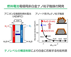 Development of electrocatalyst for anion exchange membrane fuel cells